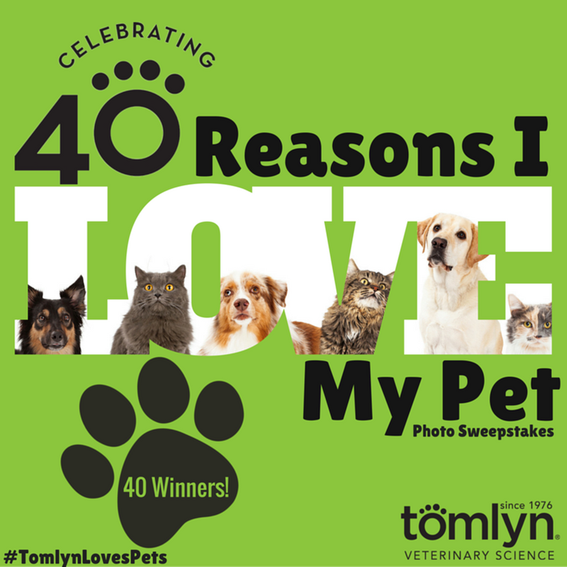 Tomlyn's 40 Reasons I Love My Pet Photo Sweeps