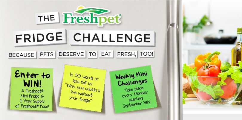 Enter the Freshpet Fridge Challenge