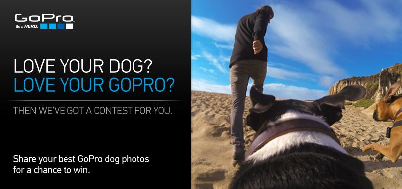 Love Your Dog? Love Your GoPro?