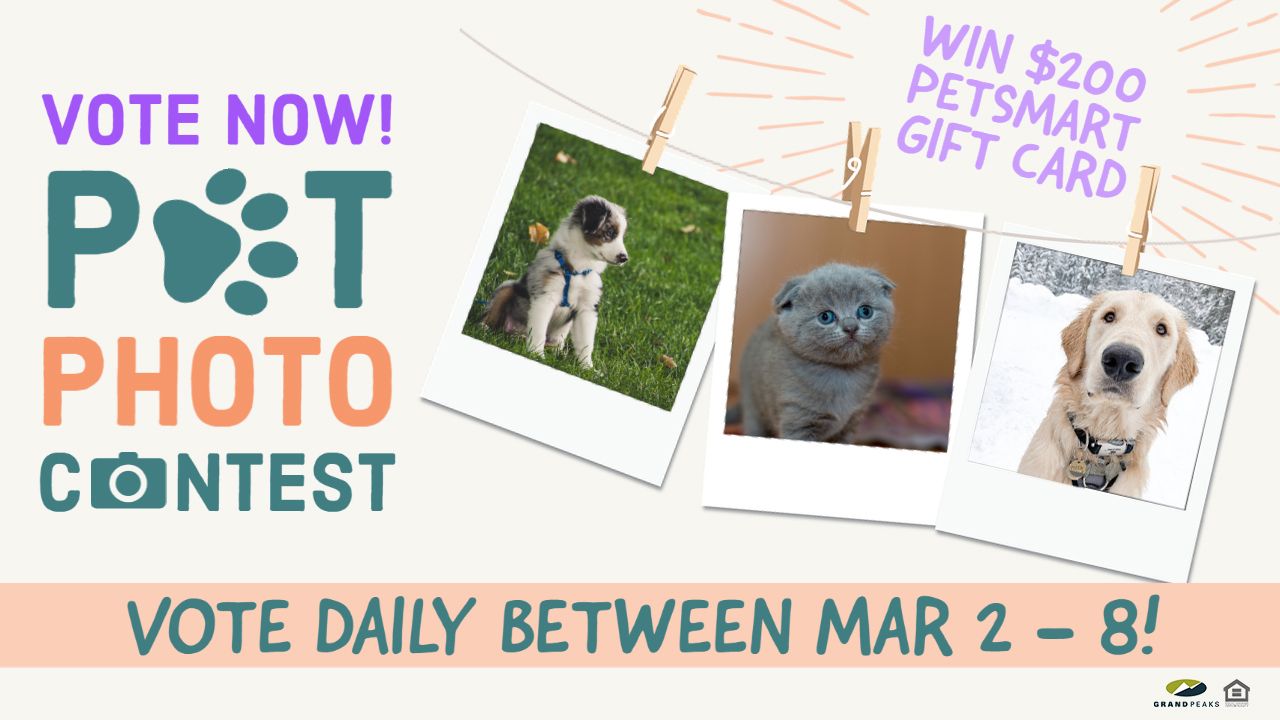 Pet Photo Contest 2020