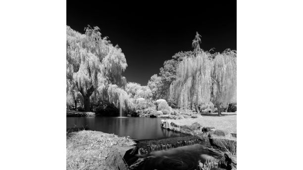 Fountain Lake