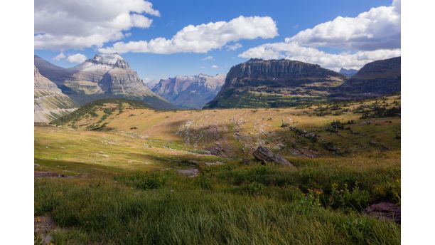 Late summer at Logan Pass