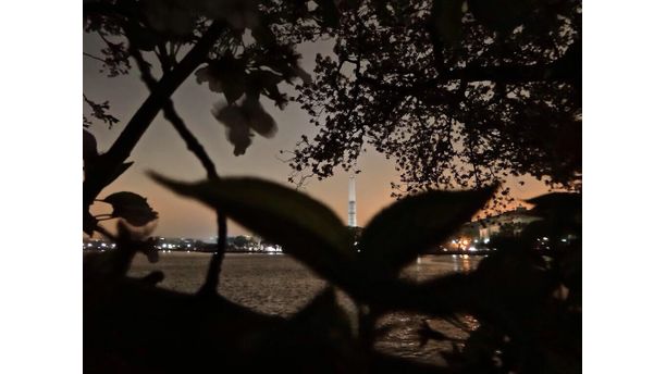 The Washington Monument Blooms at Night