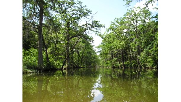 View to the Onion Creek -Hill Country TX