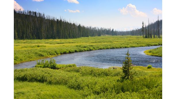 Snake River. 