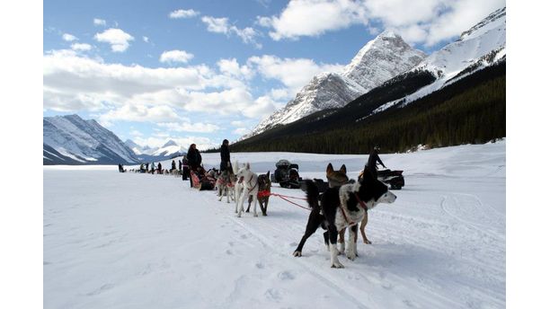 Dog-Sledding in the High Rockies