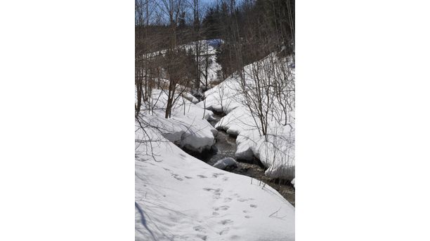 Winter's Sandy Hollow Stream