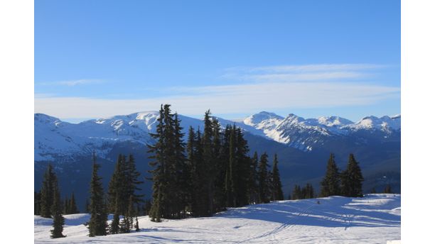 The alpine in Callaghan Valley