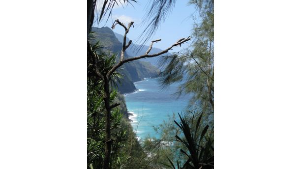 Hike in Hawaii