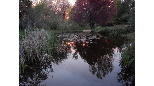 Reflections