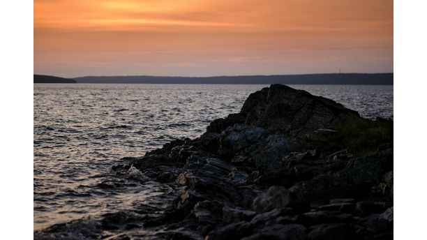 Golden Hour Newfoundland