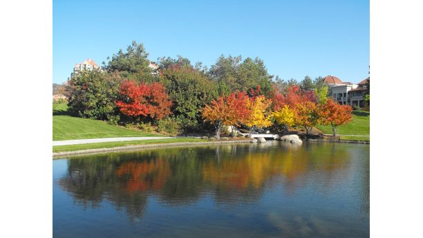 Fall in the Okanogan