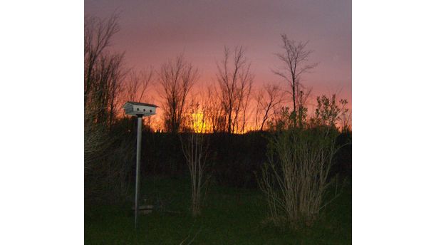 Birdhouse at Sunrise 