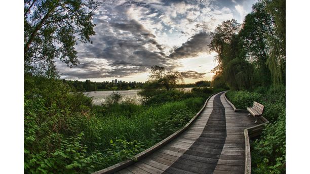 Deer Lake Boardwalk