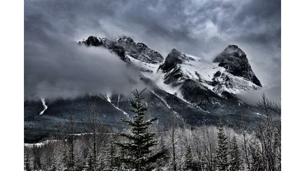 Mt Lawrence Grassi - Spring