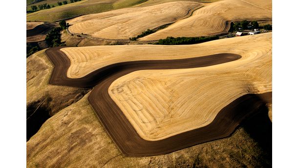 Palouse Contours