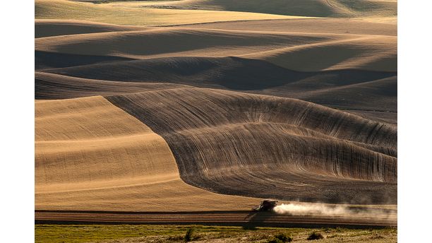 The Palouse Grandeur