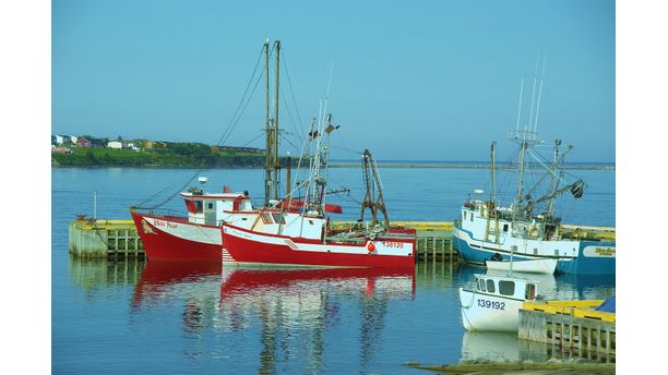 Beautiful Newfoundland