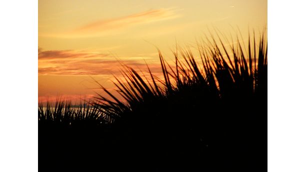 Winter sunset on the beach