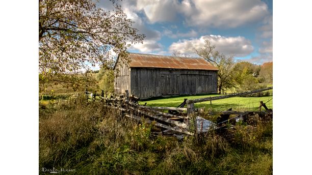 Bucolic Barnyard 2014