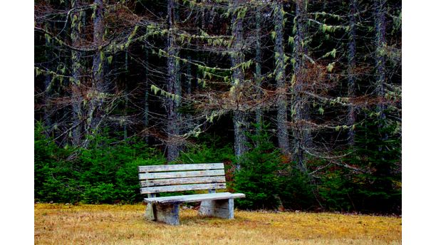 Bench