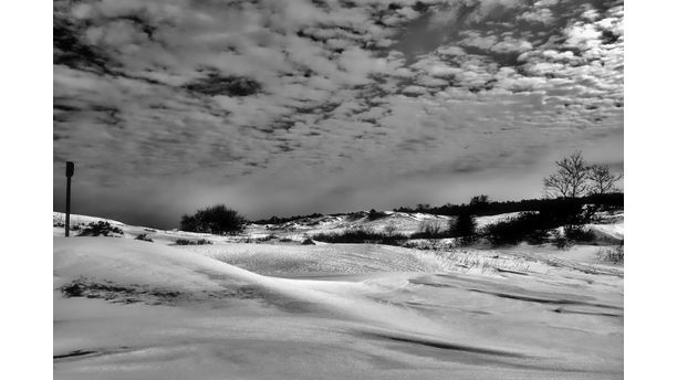 The Dunes at Crane Beach