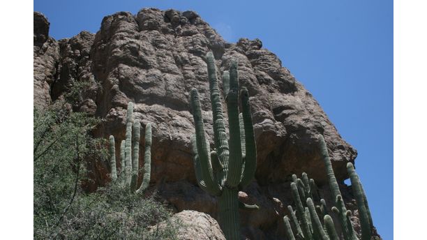 High Desert Drama