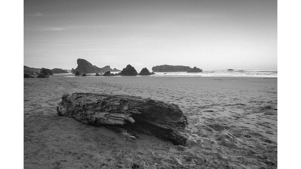 In the Hills of Big Sur / Oregon Coast