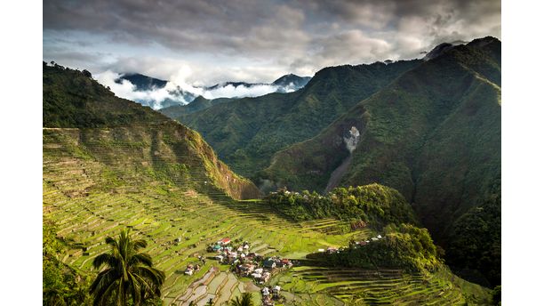 mountain rice terraces