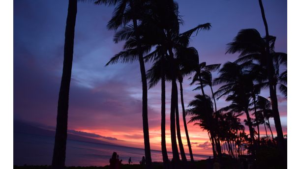 Aloha Sunset