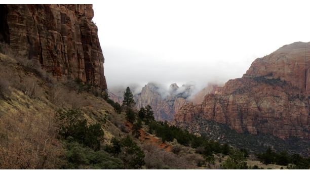 Winter in Zion National Park