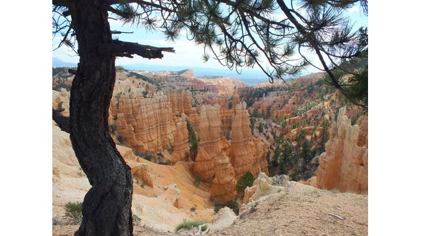 Bryce Canyon