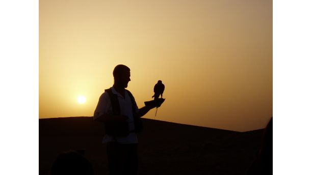 Desert Falconry