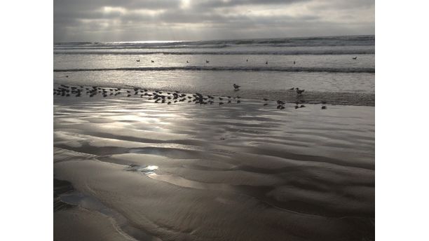 Beach at sunset