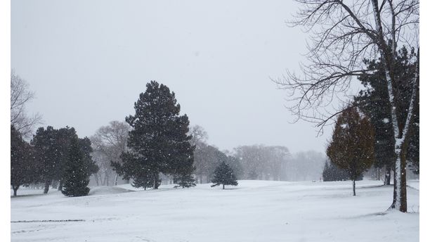 Niagra-on-the-Lake first snowfall