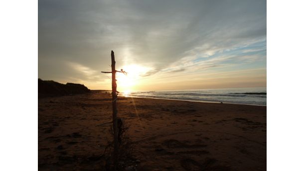 Prince Edward National Park 