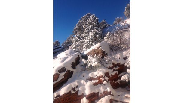 Colorado morning