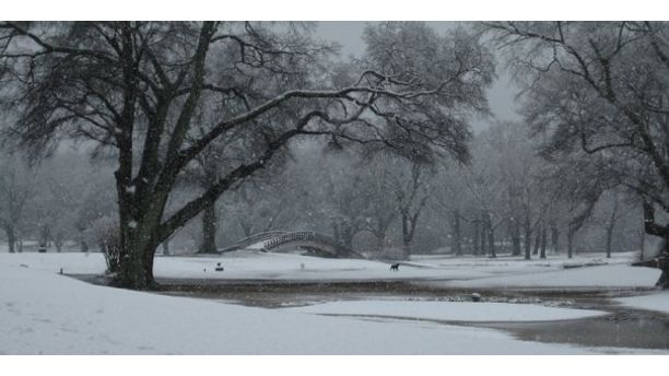 Winter at Chastain Park Atlanta, GA