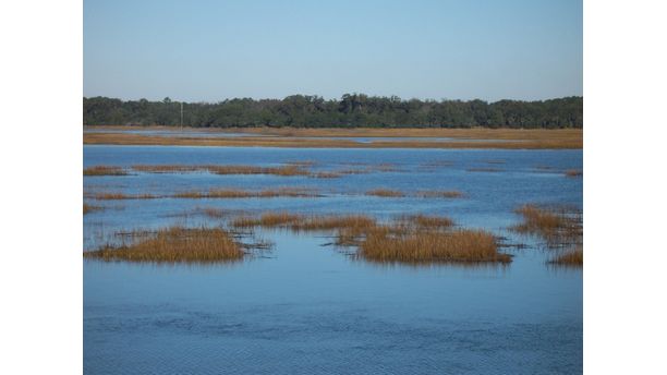 Low Country Serenity