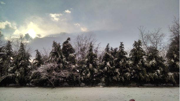 Snowy February Day