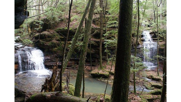 Twin Falls in North Alabama Forest