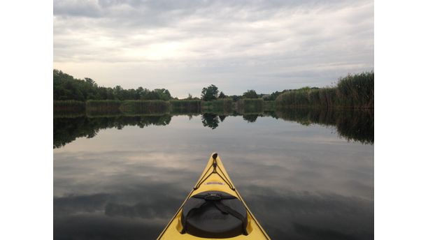 Heartbeat of Land and Water