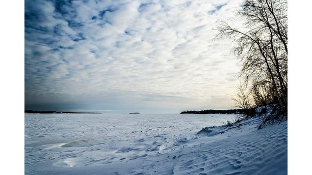 Snowy River