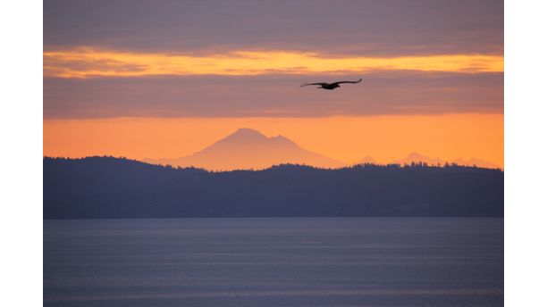 Mt. Baker Fly By