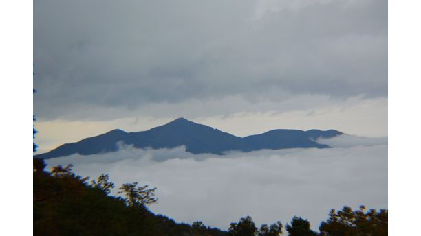 Devls Backbone Blue Ridge Parkway