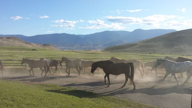 Sundance Ranch Ashcroft BC