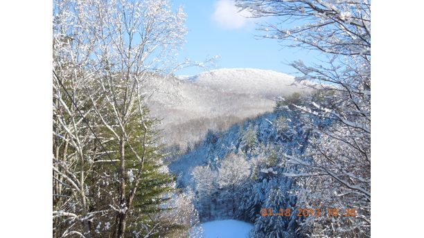 The Hills Of Tennessee 