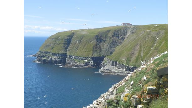 Newfoundland Coast