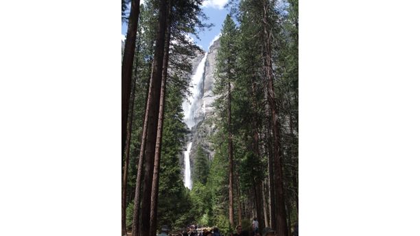 Yosemite in the spring