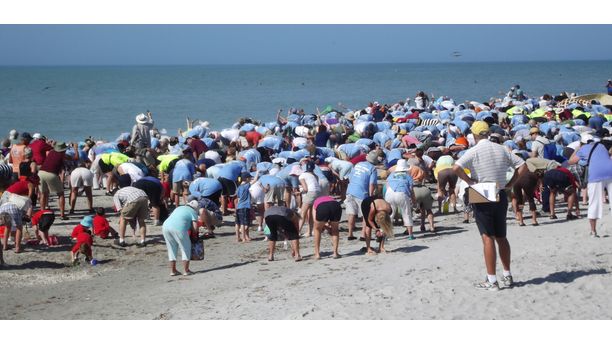 SANIBEL STOOPERS